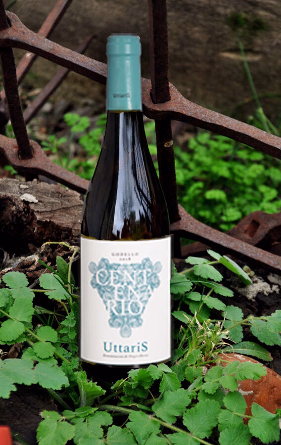 Uttaris blanco | caja 6 Unds