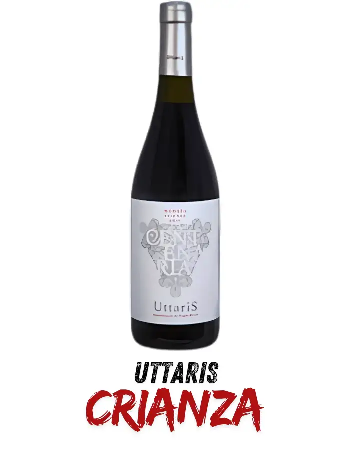 Vinos del Bierzo_ Uttaris crianza