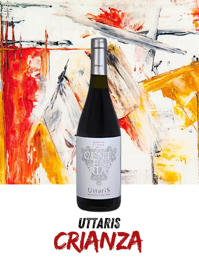 vinos del bierzo mencia crianza